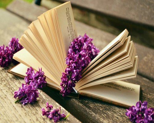 Open book near a bright window with morning light